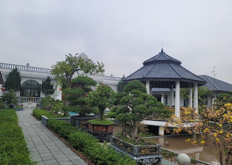 4 con trai bỏ 40 tỷ đồng xây chuỗi biệt thự vườn ở Thanh Hóa